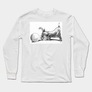 Kitten playing ball Long Sleeve T-Shirt